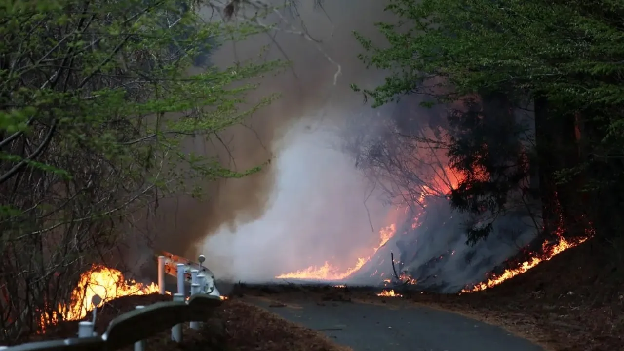 ជប៉ុន ពង្រាយអ្នកពន្លត់អគ្គិភ័យ ១,៤០០ នាក់ ប្រយុទ្ធនឹងភ្លើងឆេះព្រៃដ៏កំណាច - AMS Article Thumbnail