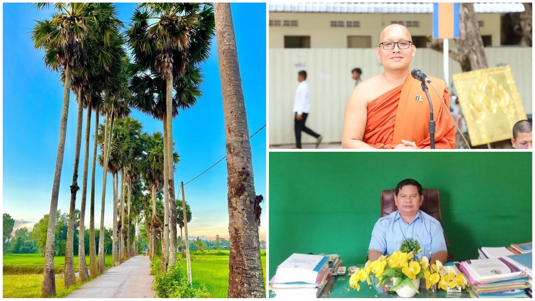 បុគ្គលិកក្រុមហ៊ុនអគ្គិសនីឯកជន៨នាក់ត្រូវបានឃាត់ខ្លួនបន្ទាប់ពីកាប់ដើមត្នោតអាយុកាលជាង១៧០ឆ្នាំ