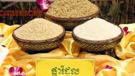 មន្រ្តីជាន់ខ្ពស់ក្រសួងកសិកម្ម ៖ ស្រូវផ្ការំដួល ប្រើពូជសុទ្ធកើនទិន្នផល ងាយស្រួលលក់ និងតម្លៃខ្ពស់
