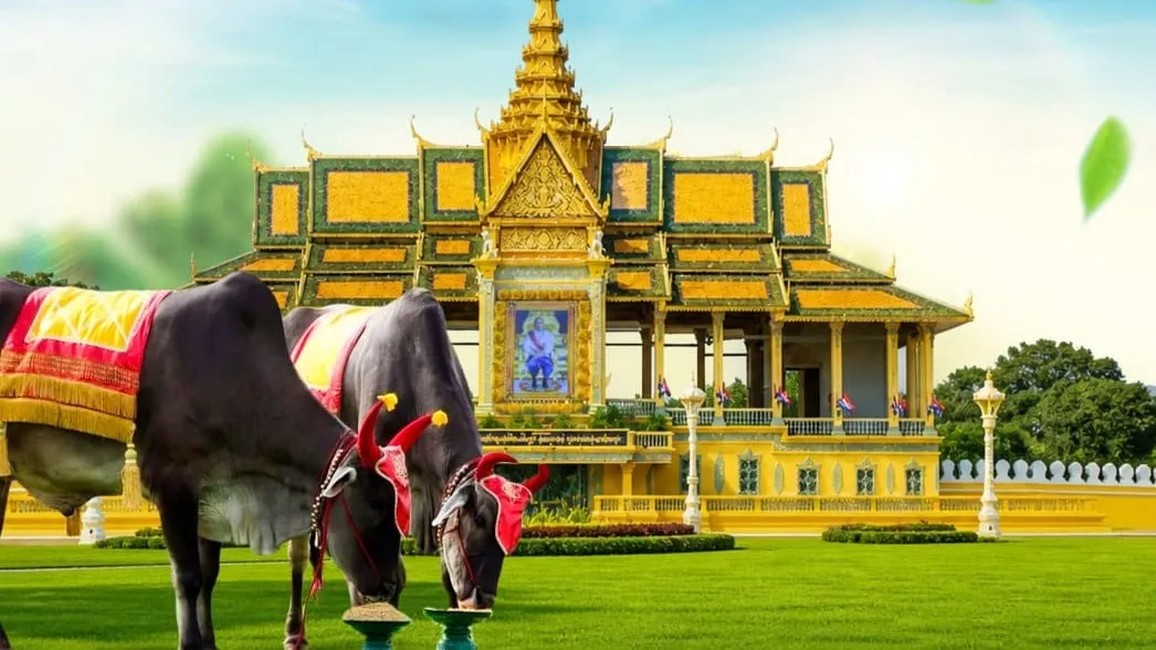 "អបអរសាទរ ព្រះរាជពិធីបុណ្យ ច្រត់ព្រះនង្គ័ល"