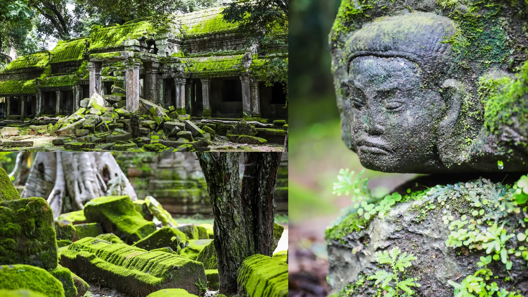 ស្លែពណ៌បៃតងប្រៀបដូចត្បូងមរកត បង្កើនសោភណភាព ប្រាសាទឱ្យកាន់តែមានមន្តស្នេហ៍