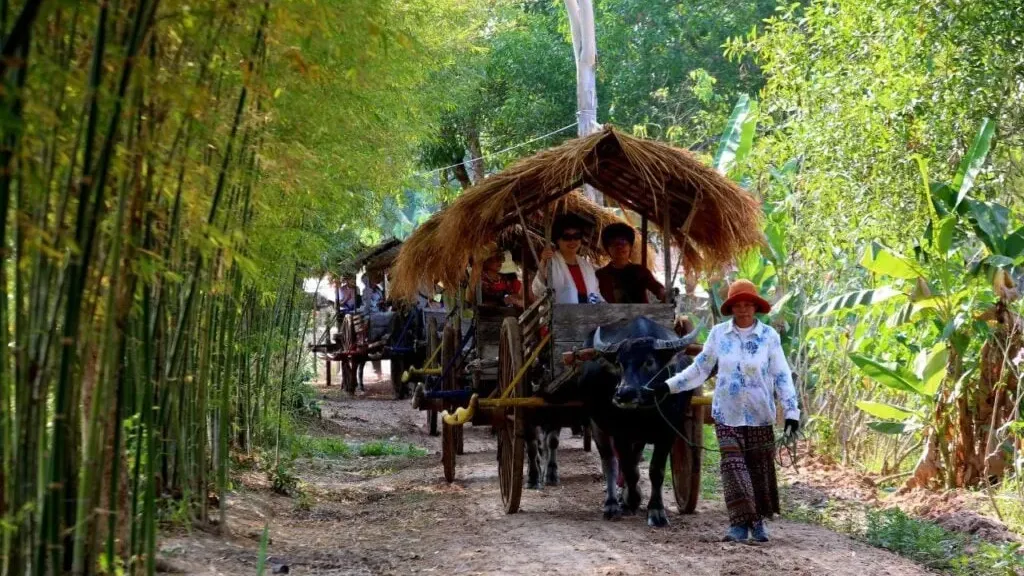 តំបន់ការពារធម្មជាតិជាង ៧លានហិកតានៅកម្ពុជា ផ្ដល់ផលសេដ្ឋកិច្ចដល់សហគមន៍មូលដ្ឋាន និងសង្គមជាតិ