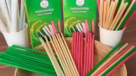 បំពង់​បឺតផលិតពីអង្ករ​កម្ពុជា​ ​កំពុង​ពង្រីក​ទីផ្សារ​ទាំង​ក្នុង​ ​និង​ក្រៅ​ប្រទេស​