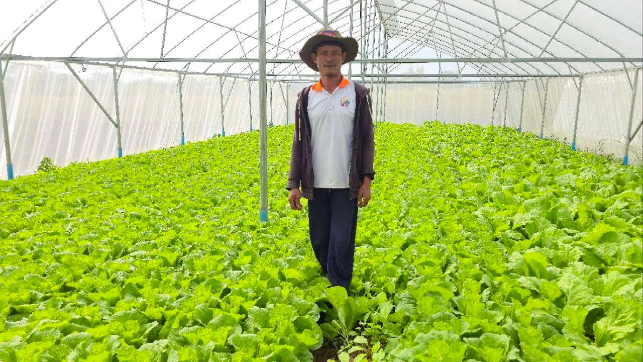 រយៈពេល ៦ ខែ កសិករគំរូ ចន គឹមស្រស់ រកប្រាក់ចំណេញ ៤០ លានរៀលពីការដាំបន្លែសរីរាង្គតាមបច្ចេកទេសទំនើប