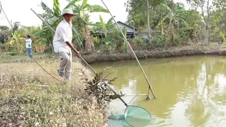 កសិករ​វ័យ​ ​៦៤​ ​ឆ្នាំ​នៅ​បាត់ដំបង​ ​បង្កើន​ស្រះ​ត្រី​ដល់​ ​២៦​ ​រំពឹង​រកចំណូលបាន​ ​៥០​ ​លាន​រៀល​/​១ឆ្នាំ​