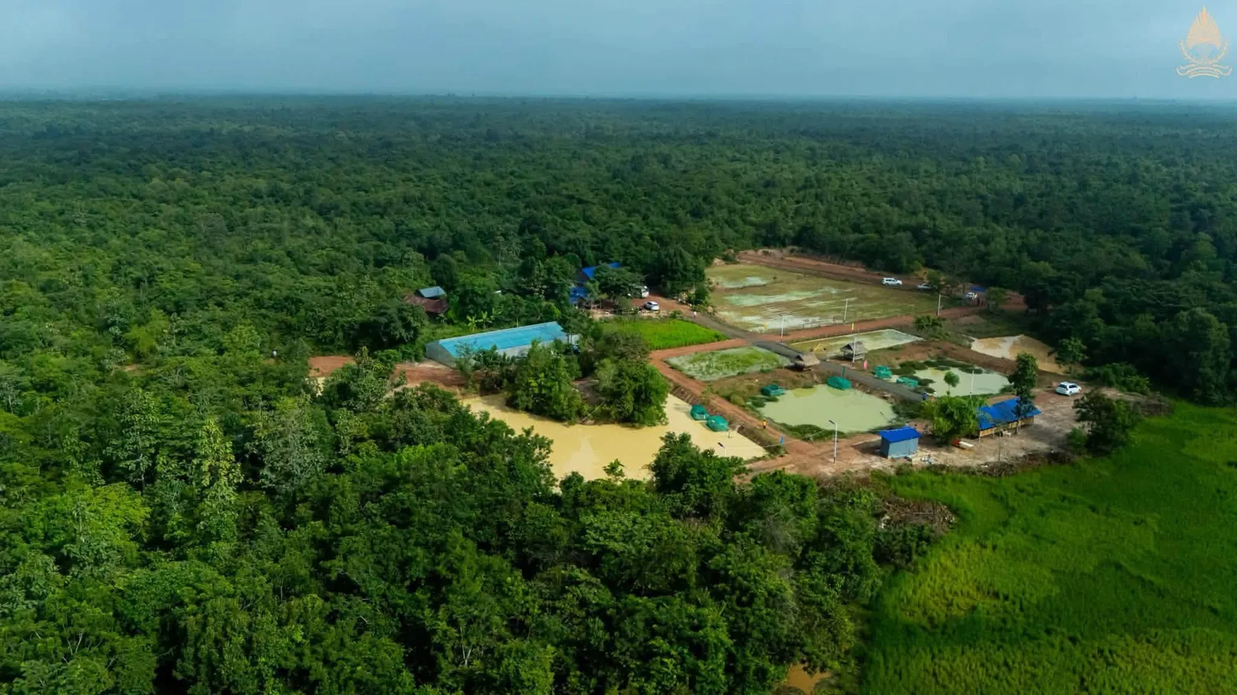 សហគមន៍​ព្រៃឈើ​ត្រពាំង​ពិការ ​ផ្ដល់​អត្ថប្រយោជន៍​ដល់​ពលរដ្ឋ​ជាង​ ៤០០ ​​គ្រួសារ​នៅ​រមាស​ហែក​
