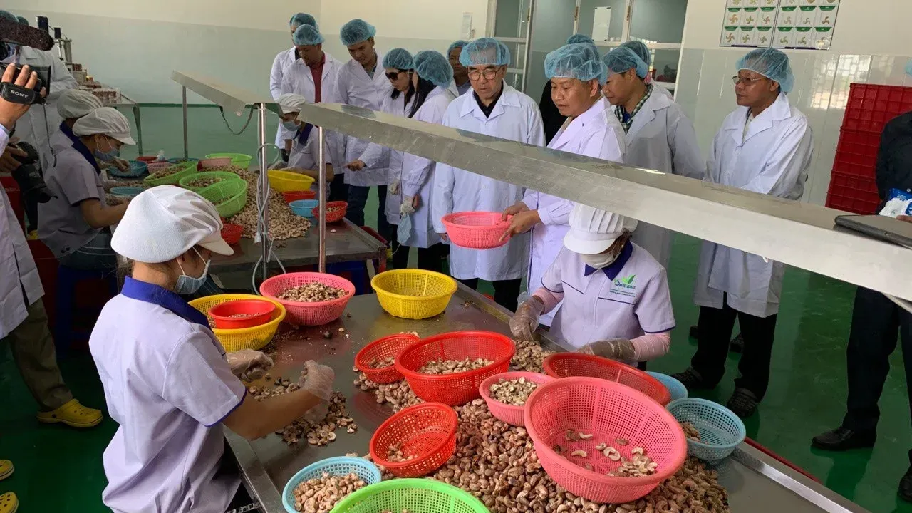 ជីប​ម៉ុង ​ត្រៀម​បង្កើន​ហិរញ្ញប្បទាន​ស្វាយចន្ទី​ដល់​ ៧០០ ​លាន​ដុល្លារ ​នៅ​ឆ្នាំ​ ​២០២៧