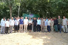 អណ្តើកហ្លួ - Thumbnail