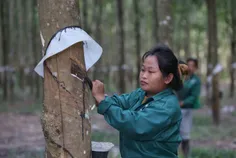 រោងចក្រកែច - Thumbnail