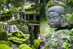 ស្លែពណ៌បៃត - Thumbnail