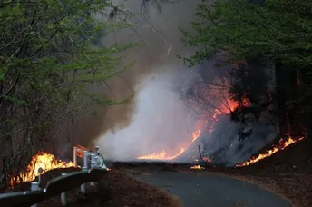 ជប៉ុន ពង្រាយអ្នកពន្លត់អគ្គិភ័យ ១,៤០០ នាក់ ប្រយុទ្ធនឹងភ្លើងឆេះព្រៃដ៏កំណាច - AMS Article Thumbnail