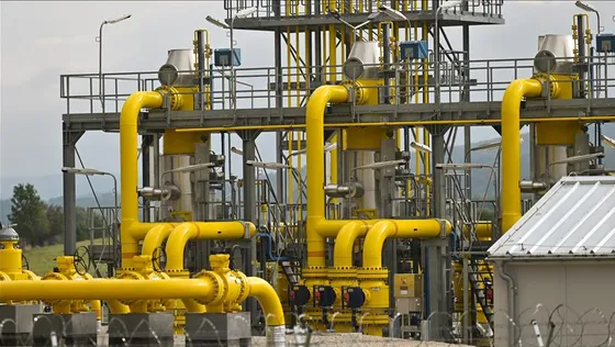 ប្រទះឃើញកំណប់ឧស្ម័ន ៥ ទ្រីលានហ្វីតគូប នៅឥណ្ឌូនេស៊ី - AMS Article Thumbnail