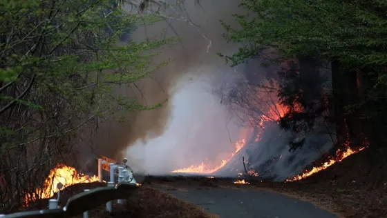 ជប៉ុន ពង្រាយអ្នកពន្លត់អគ្គិភ័យ ១,៤០០ នាក់ ប្រយុទ្ធនឹងភ្លើងឆេះព្រៃដ៏កំណាច - AMS Article Thumbnail