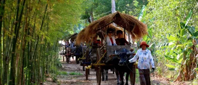 តំបន់ការពារធម្មជាតិជាង ៧លានហិកតានៅកម្ពុជា ផ្ដល់ផលសេដ្ឋកិច្ចដល់សហគមន៍មូលដ្ឋាន និងសង្គមជាតិ - AMS Article Thumbnail