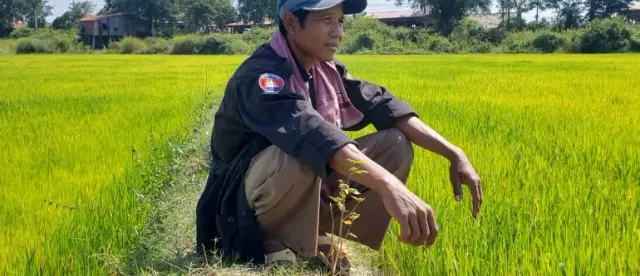 ប្រេងឥន្ធនៈនិងជីកសិកម្មឡើងថ្លៃបង្កផលប៉ះពាល់ដល់ជីវភាពកសិករ ខណៈជម្លោះមជ្ឈិមបូព៌ានៅតែបន្ត - AMS Article Thumbnail