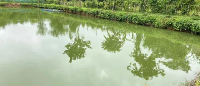 អ្នកជំនាញ ៖ កសិករគួរជីកស្រះក្បែរចំការដំណាំ ដើម្បីទទួលបានផលចំណេញជាប់ពេញមួយឆ្នាំ - AMS Article Thumbnail