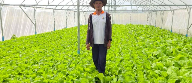 រយៈពេល ៦ ខែ កសិករគំរូ ចន គឹមស្រស់ រកប្រាក់ចំណេញ ៤០ លានរៀលពីការដាំបន្លែសរីរាង្គតាមបច្ចេកទេសទំនើប - AMS Article Thumbnail
