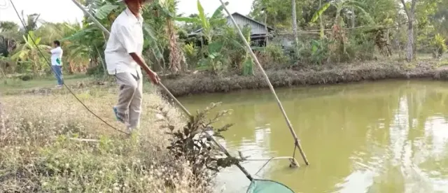 កសិករ​វ័យ​ ​៦៤​ ​ឆ្នាំ​នៅ​បាត់ដំបង​ ​បង្កើន​ស្រះ​ត្រី​ដល់​ ​២៦​ ​រំពឹង​រកចំណូលបាន​ ​៥០​ ​លាន​រៀល​/​១ឆ្នាំ​ - AMS Article Thumbnail