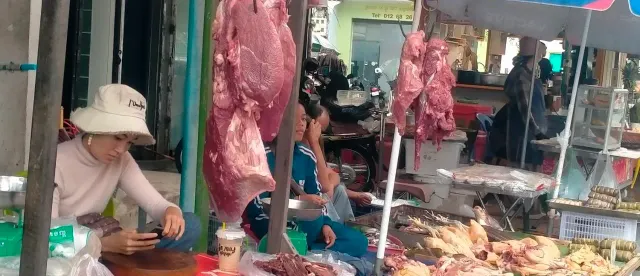 ទីផ្សារត្រី-សាច់សត្វចិញ្ចឹម មានស្ថិរភាពតម្លៃក្នុងរដូវកាន់បិណ្ឌ ខណៈអ្នកចិញ្ចឹមប្រឈមការផ្គត់ផ្គង់លើសតម្រូវការ - AMS Article Thumbnail