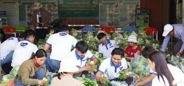 Thumbnail for សហគមន៍កសិកម្មមួយនៅខេត្តបាត់ដំបង គ្រោងបង្កើតបណ្តាញផ្សារបន្លែទំនើបខ្នាតតូចឱ្យបានទូលំទូលាយនៅទូទាំងប្រទេស