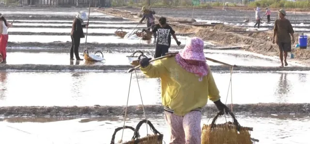 Thumbnail for ការផលិតអំបិលឆ្នាំ២០២៦ អាចមានភាពយឺតយ៉ាវដោយសារកត្តាអាកាសធាតុ