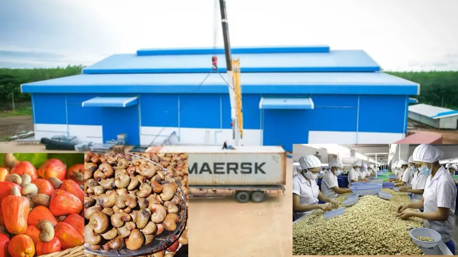 ការវិនិយោគលើរោងចក្រកែច្នៃ គឺជា...