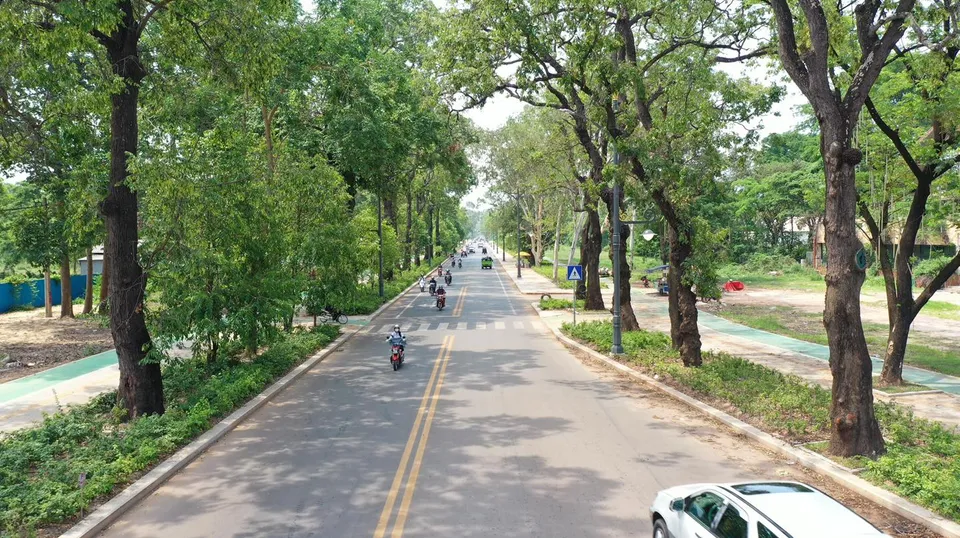 រុក្ខវិថីព្រះសីហនុ ជួយលើកកម្ពស...