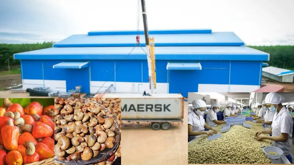 ការវិនិយោគលើរោងចក្រកែច្នៃ គឺជា...