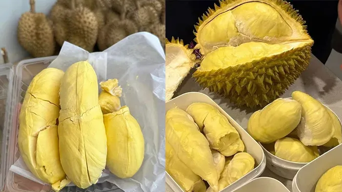ការនាំចូលទុរេនពីក្រៅប្រទេសបង្ក...
