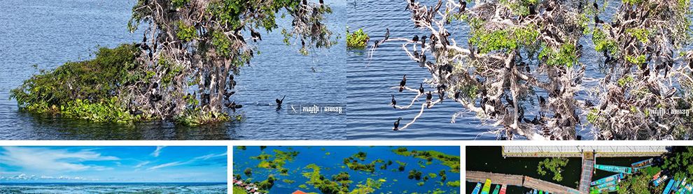 Image for article: ភូមិព្រែកទាល់ ទីឋានគយគន់សត្វស្លាបរាប់រយប្រភេទ អមដោយផ្ទះបណ្ដែតទឹករាប់រយ