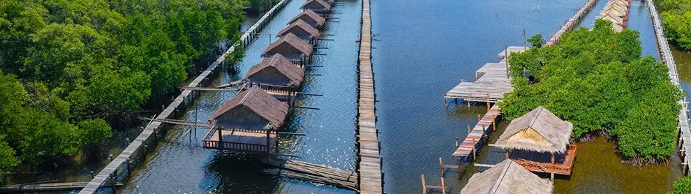 Image for article: សហគមន៍នេសាទកំពង់សាមគ្គី កន្លែងលម្ហែបែបធម្មជាតិ ក្នុងស្រុកទឹកឈូ