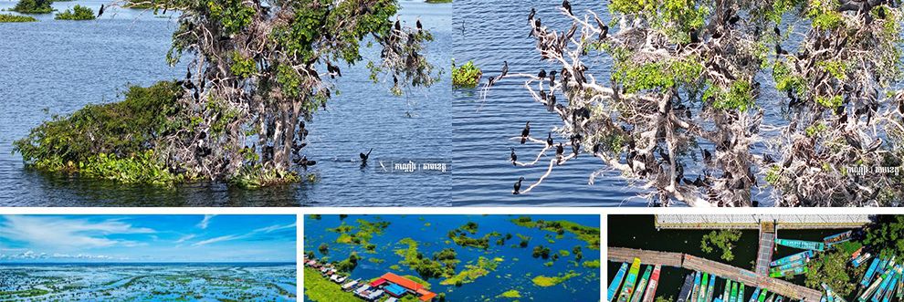 ភូមិព្រែកទាល់ ទីឋានគយគន់សត្វស្លាបរាប់រយប្រភេទ អមដោយផ្ទះបណ្ដែតទឹករាប់រយ - Main Article Image