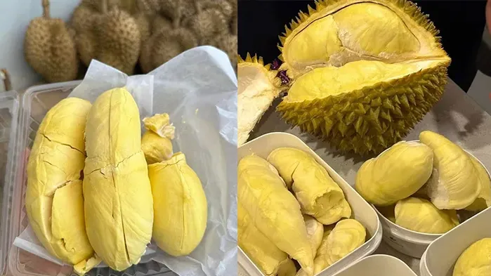 ការនាំចូលទុរេនពីក្រៅប្រទេសបង្ក...