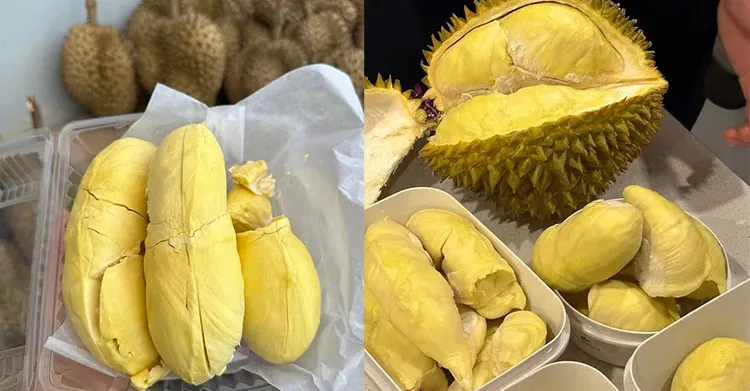 ការនាំចូលទុរេនពីក្រៅប្រទេសបង្ក...