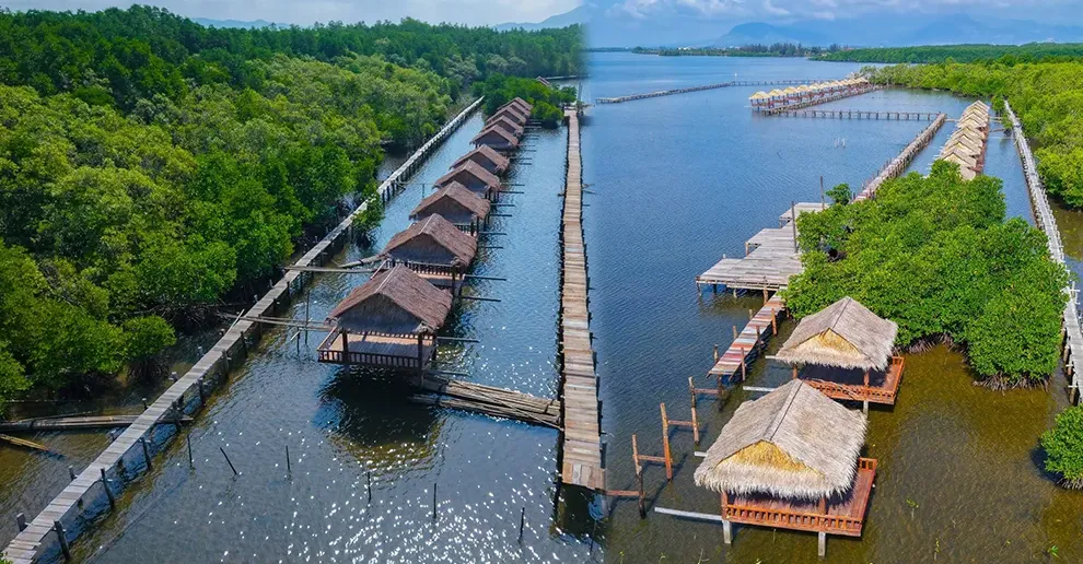 សហគមន៍នេសាទកំពង់សាមគ្គី កន្លែងលម្ហែបែបធម្មជាតិ ក្នុងស្រុកទឹកឈូ