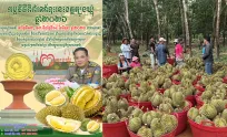 ភ្លក់ ទុរេន ដោយ​សេរី ឥត​គិត​ថ្លៃ ក្នុង​ព្រឹត្តិការណ៍​តាំង​ពិព័រណ៍នៅ​ខេត្ត​ត្បូង​ឃ្មុំ