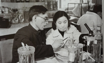 Tu Youyou ស្រ្តីជនជាតិចិនដែលបានជួយសង្គ្រោះជីវិតមនុស្សរាប់លាននាក់ពីជំងឺគ្រុនចាញ់
