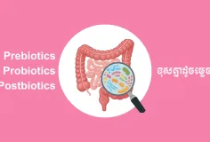 ឈ្មោះស្រដៀងគ្នា តែ Prebiotics Probiotics និង Postbiotics ខុសគ្នាដូចម្ត៉េច?