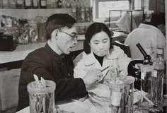 Tu Youyou ស្រ្តីជនជាតិចិនដែលបានជួយសង្គ្រោះជីវិតមនុស្សរាប់លាននាក់ពីជំងឺគ្រុនចាញ់