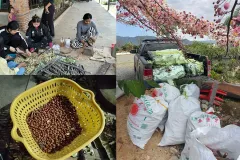 ល្បីផ្កាបូព្រឹក្សស្អាតពេក មន្ទីរខេត្តពោធិ៍សាត់ប្រកាស​ចែកកូនផ្កាជូនពលរដ្ឋ ក្រោយបណ្ដុះជោគជ័យ - Article