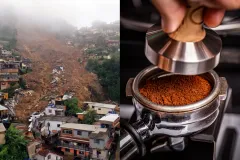 អ្នកវិទ្យាសាស្ត្រព្រមាន៖ ការប្រែប្រួលអាកាសធាតុកំពុងរុញតម្លៃកាហ្វេឱ្យកើនឡើង - Article