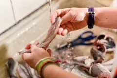 ធ្វើម្ហូបហើយ មានក្លិនឆ្អាបជាប់ដៃ ងាករករបស់ ៦យ៉ាងនេះក្នុងផ្ទះ ជួយបំបាត់ក្លិនឆ្អាបអស់ សល់តែក្លិនក្រអូប - Article