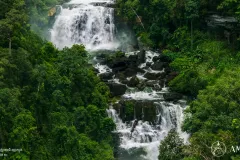 សម្រស់ទឹកធ្លាក់ស្ទឹងពង្រូល ទីកម្សាន្តដ៏មនោរម្យសម្រាប់អ្នកចូលចិត្ត​ធម្មជាតិព្រៃភ្នំ - Article