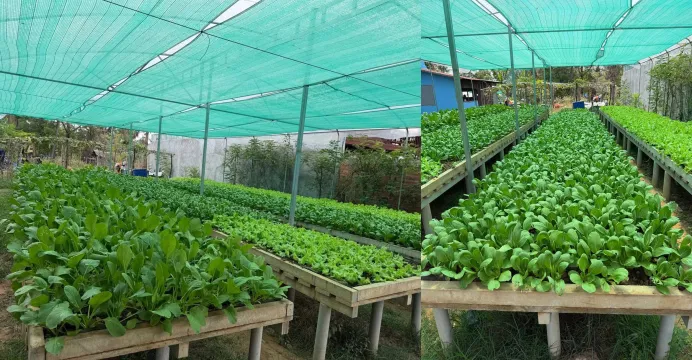 ការ​ធ្វើកសិកម្ម​តាមបែ​បកសិ-អេក...