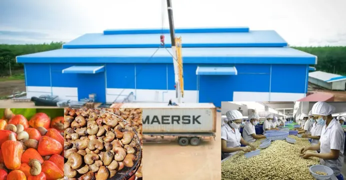 ការវិនិយោគលើរោងចក្រកែច្នៃ គឺជា...