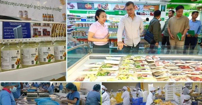 «ក្របខ័ណ្ឌអភិវឌ្ឍន៍សួនកសិឧស្សា...