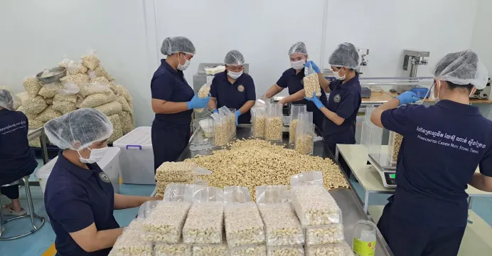សហគ្រាសកែច្នៃគ្រាប់ស្វាយចន្ទី ...