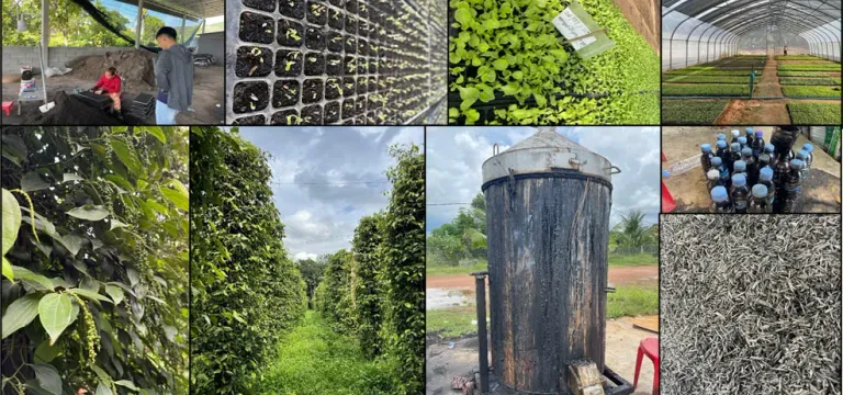 ការ​សិក្សា​ បង្ហាញថា​ សហគមន៍​ក...
